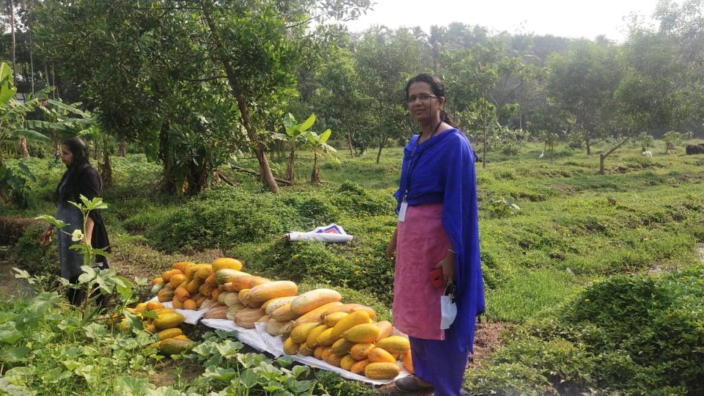 Harvest Festival FLD on Organic management practice for red pumpkin
