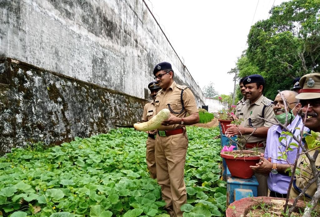 First harvest of Veg cultivated in fallow land of Central Prison