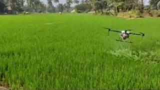 Embedded thumbnail for ഡ്രോൺ ഉപയോഗിച്ച് നെല്ലിലെ സൂക്ഷ്മ മൂലക പ്രയോഗം -FLD on drone   KVK Palakkad
