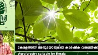 Embedded thumbnail for Agroforestry suitable for Kerala