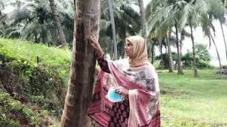 Embedded thumbnail for തെങ്ങിലെ ചെന്നീരൊലിപ്പ്‌ രോഗം - ലക്ഷണങ്ങളും പ്രധിരോധ മാർഗ്ഗങ്ങളും- stem bleeding in coconut
