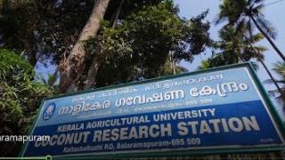 Embedded thumbnail for Coconut Research Station Balaramapuram | നാളികേര ഗവേഷണ കേന്ദ്രം ബാലരാമപുരം 