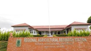 Embedded thumbnail for Regional Agricultural Research Station, Ambalavayal (പ്രാദേശിക കാർഷിക ഗവേഷണ കേന്ദ്രം, അമ്പലവയൽ)