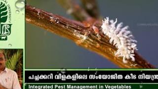 Embedded thumbnail for IPM in vegetables